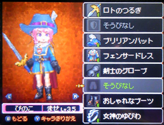 高貴なる魔法戦士 やっぱドラクエ ドラクエ娘のあーだこーだdq9編